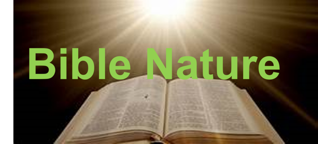 Bible Nature, Parole de Jesus Christ